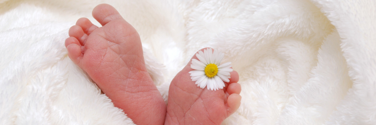 I piedini di un neonato, con una margherita tra le dita. Il gruppo di esercizi bioenergetici di aiuta a tornare in sintonia con il tuo corpo