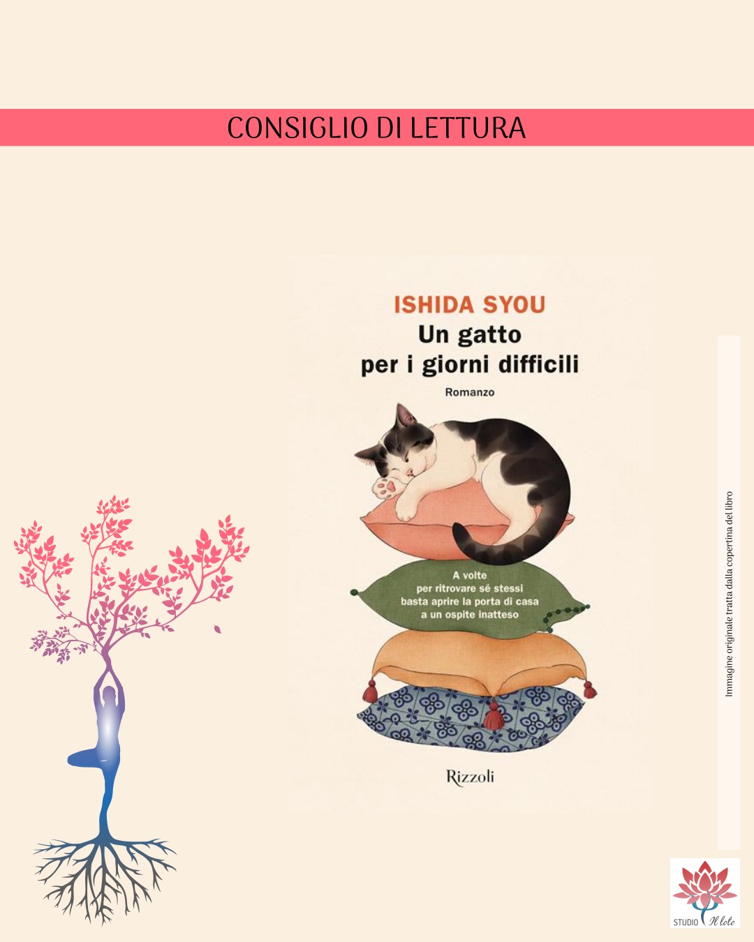 La copertina del libro